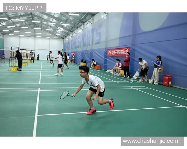 羽毛球盛宴：深入成都羽毛球队的训练与比赛节奏探究